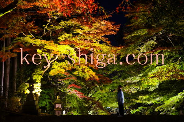 滋賀県犬上郡多賀町、胡宮神社の紅葉ライトアップ 滋賀県、カギと錠前のプロフェッショナル。地元直営の鍵屋【キー滋賀.com】