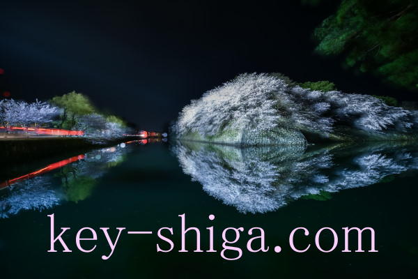 滋賀県彦根市、彦根城の夜桜(多重露光撮影) 滋賀県、カギと錠前のプロフェッショナル。地元直営の鍵屋【キー滋賀.com】滋賀県彦根市、彦根城の夜桜(多重露光撮影)